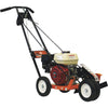 Walk Behind Lawn Edger