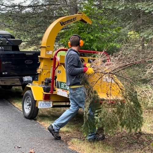 Boyne Co-Op Hardware and Rental staff putting trees inside of a wood chipper